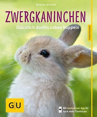 Zwergkaninchen mit - gu,