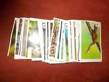 Edeka - Sammelaktion "Unser