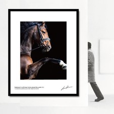 Pferd Kunst Poster 400x500mm