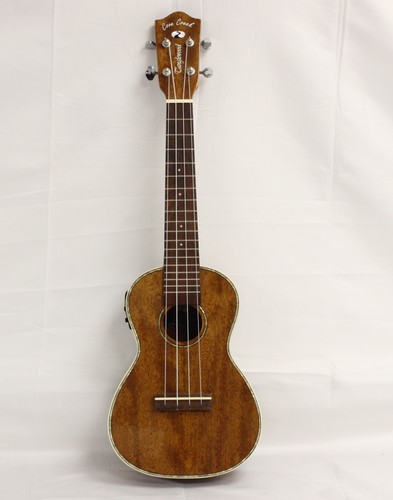 Tanglewood elektroakustische - tanglewood,