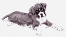 Boxerwelpe - Boxer - HUND Zeichnung Skizze UNIKAT!  