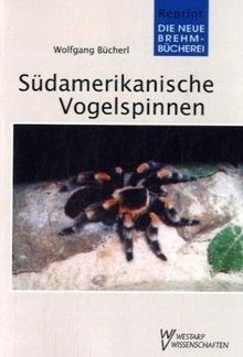 Südamerikanische vogelspinnen - südamerikanische,