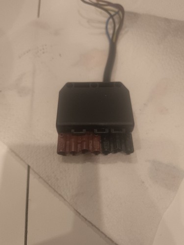Wieland stecker polig - wieland,