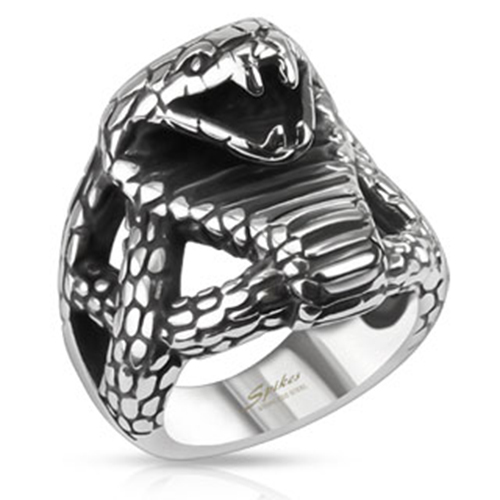 Edelstahl ring kobra schlange - edelstahl,