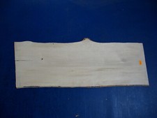 Weißbuche verstockt Furnier