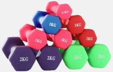 Vinyl Kurzhanteln 2er Set