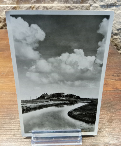 Hallig hooge backenswarf - ak,