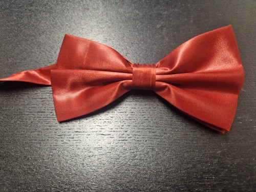 Einfarbig fliege dunkel maroon - fliege,