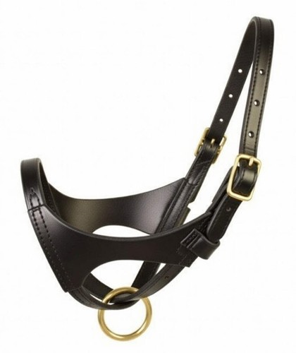 Fohlenhalfter leder - fohlenhalfter,