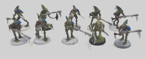 Kroot carnivore squad - kroot,
