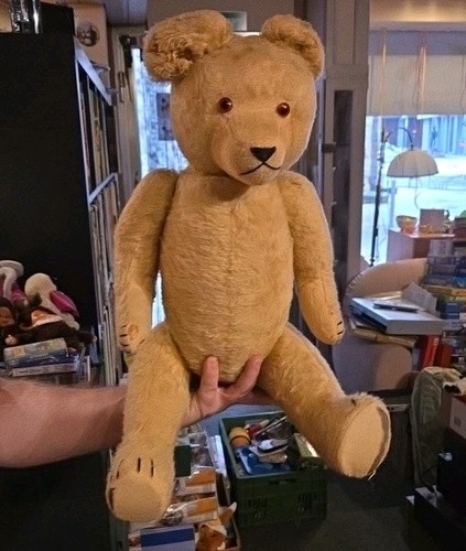 Antiker teddybär cm - 65,