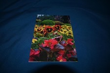 AK Postkarte Butchart Gardens