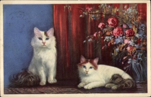 Zwei katzen liegend - ak, katzen,