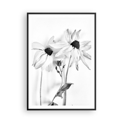 Wandbilder 70x100cm poster - wandbilder,