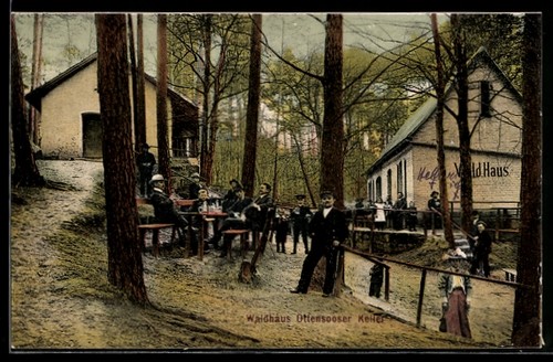 Ottensoos gasthaus waldhaus - gasthaus,
