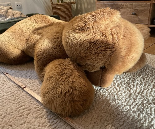 Teddy bär von - teddy,
