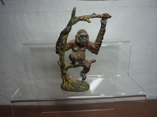 Jahre orang utan - jahre,