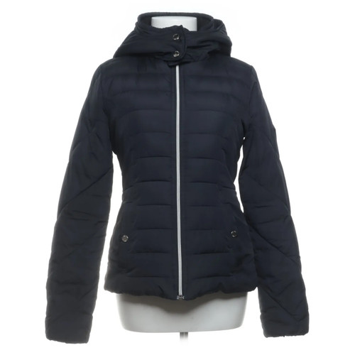 Hollister winterjacke damen - hollister,,