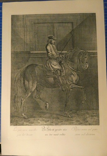 Riedinger die grosse - e.riedinger,