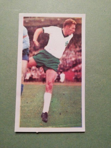 Sicker bundesliga asse 1966 - sicker, 1966/67