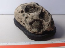 Suiseki Bonseki Bonsai