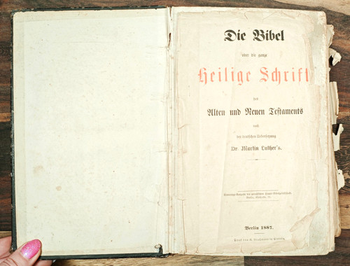 Die bibel oder - die, ganze