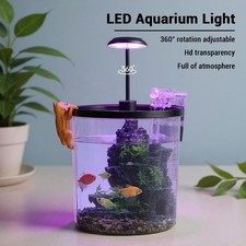 Small Fish Tank, 1 Gallon