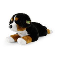 Bernersenne L= 60cm Berner