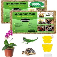 Langfaseriges Sphagnum Moos für Orchideen – 1000g für gesundes Wurzelwachstum