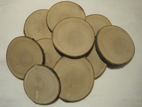 Holzscheiben astscheiben - x,