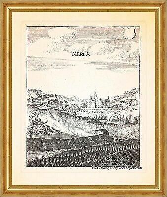 Merla merlau vogelsbergkreis - merla,