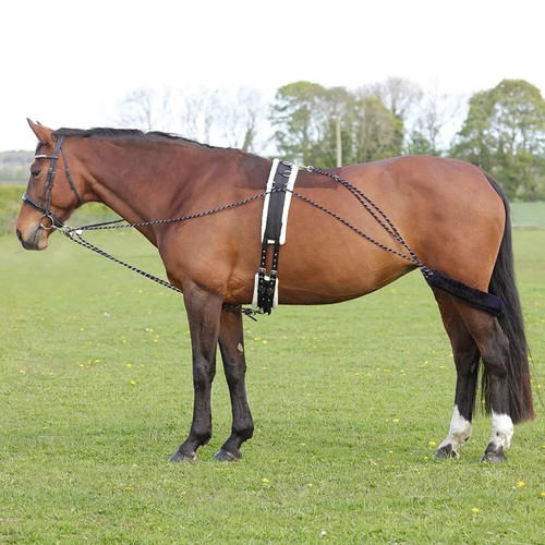 Equestrian longiersystem - hy,