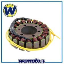 Stator Lichtmaschine Generator
