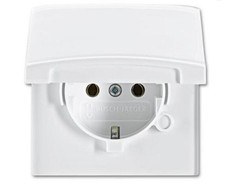 Busch-Jaeger SCHUKO Steckdose, Klappdeckel / 20 EUGK-34-101 / Allwetter 44