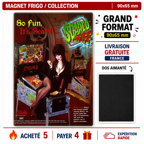 Magnet fridge pinball scared - pinball,