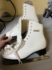 schlittschuhe Gr. 41