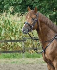 BUSSE Vorderzeug Premium