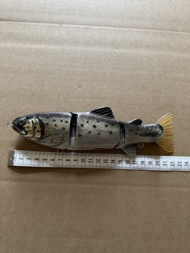 Lucky lures trout - nl,