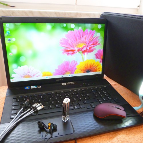 Sony vaio zoll hdplus - sony,
