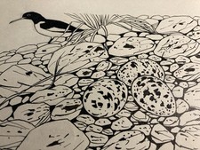 Originalzeichnung Wilhelm