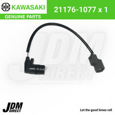Kawasaki Original 2000 - 2021