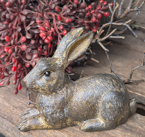 Hübscher kleiner hase - kleiner,
