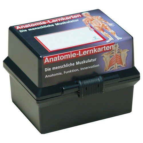 Lernkärtchen lernkarten der - lernkärtchen,,
