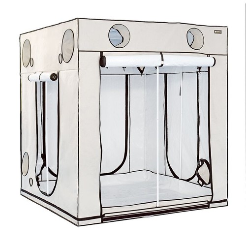 Homebox ambient q200 - homebox,