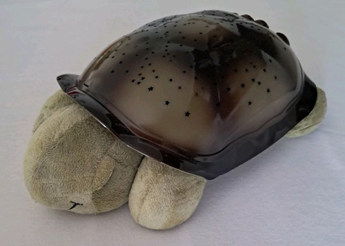 Nachtlicht schildkröte - nachtlicht,