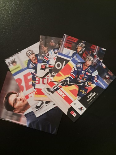Del playercards iserlohn - del, 22/23