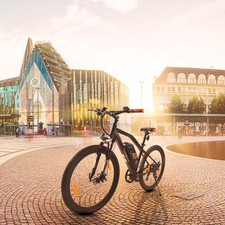 SachsenRad E-Racing Mountain