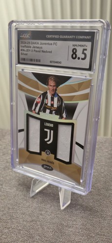 Daka 2024 pavel nedved - 2024/25,