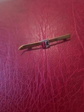  Alte Anstecknadel Souvenir