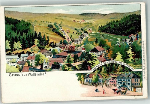 13556083 4201 wallendorf - 13556083,